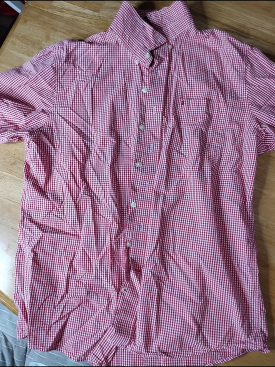 Izod Other - Men's Red Gingham Button-Down Shirt
